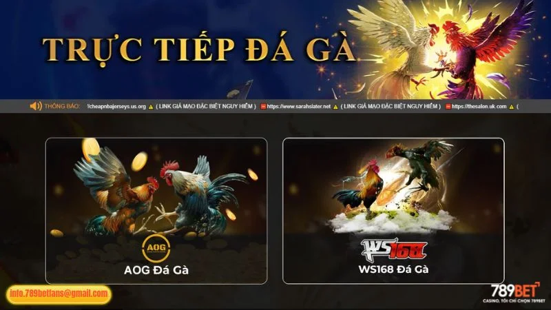 Điểm danh các sảnh đá gà chất lượng tại 789BET