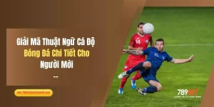Giải Mã Thuật Ngữ Cá Độ Bóng Đá Chi Tiết Cho Người Mới